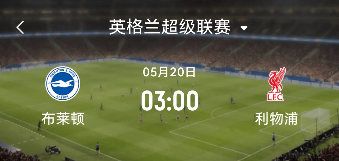 布莱顿迎亚冠关键赛，清晨状态回暖，底气十足，轮换策略成焦点的简单介绍