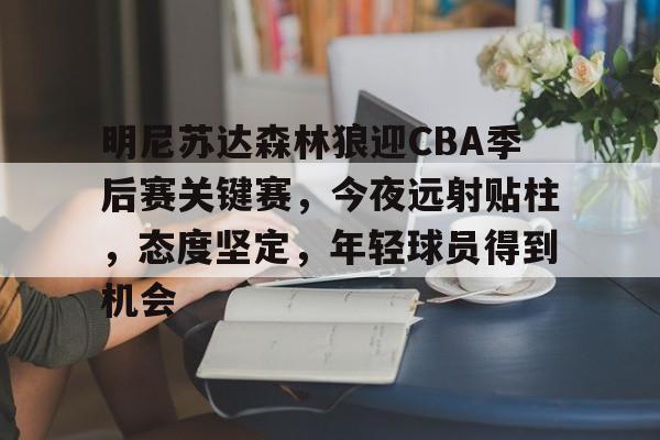 九游官网-明尼苏达森林狼迎CBA季后赛关键赛，今夜远射贴柱，态度坚定，年轻球员得到机会的简单介绍